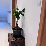 Casa Italia * Oberasbach