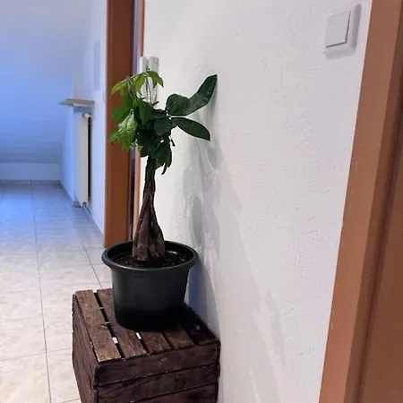 Casa Italia * Oberasbach